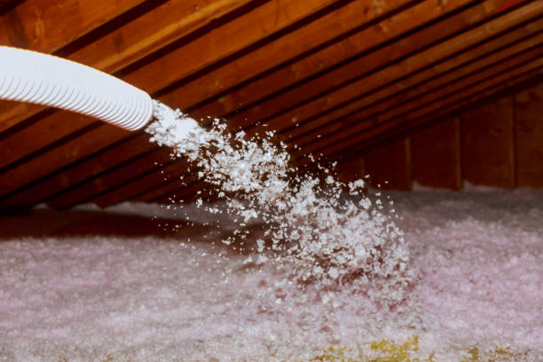 Trusted La Follette, TN Foam Insulation Services Experts